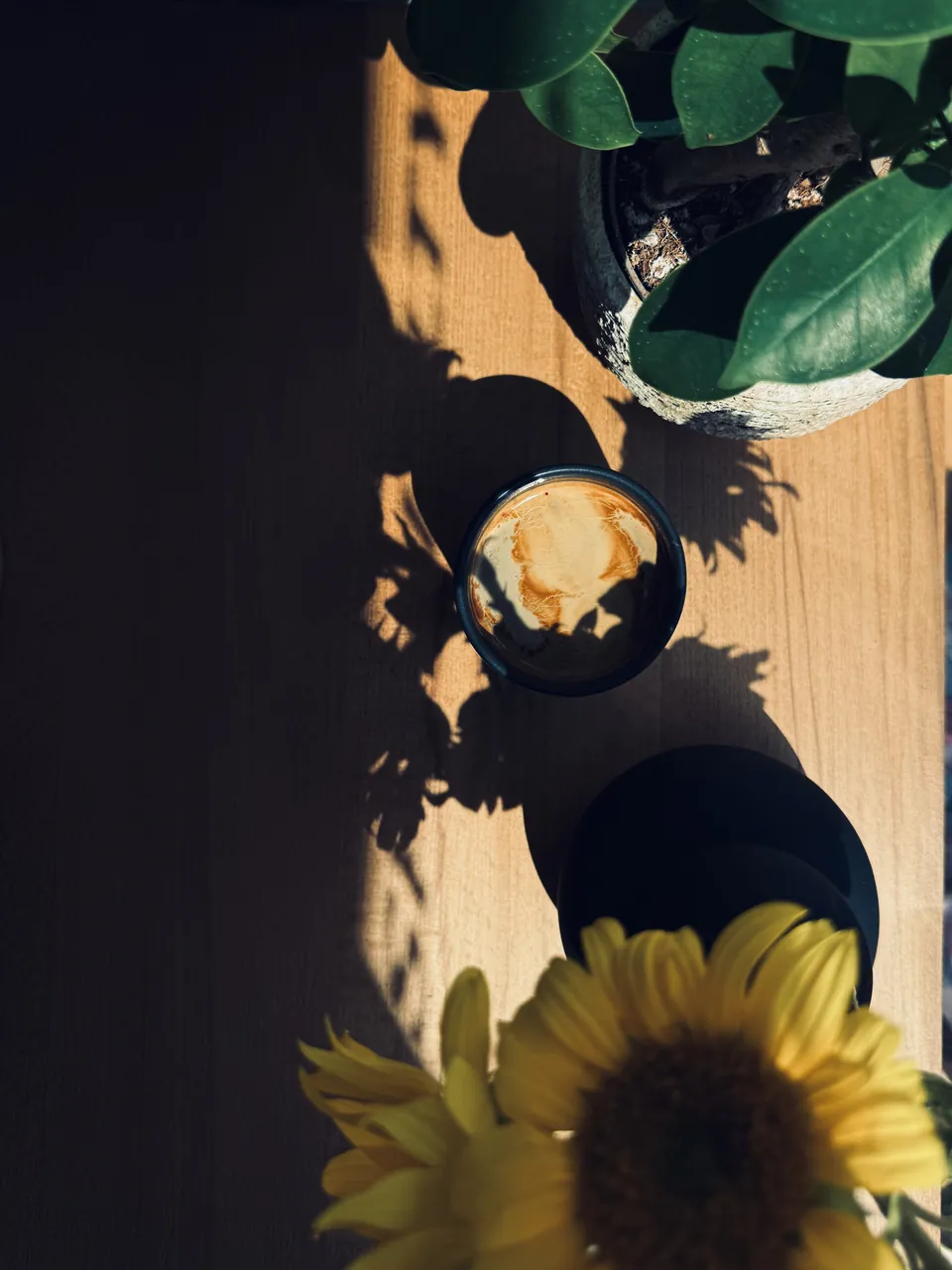 Espresso și floarea-soarelui pe masa luminată de soare
